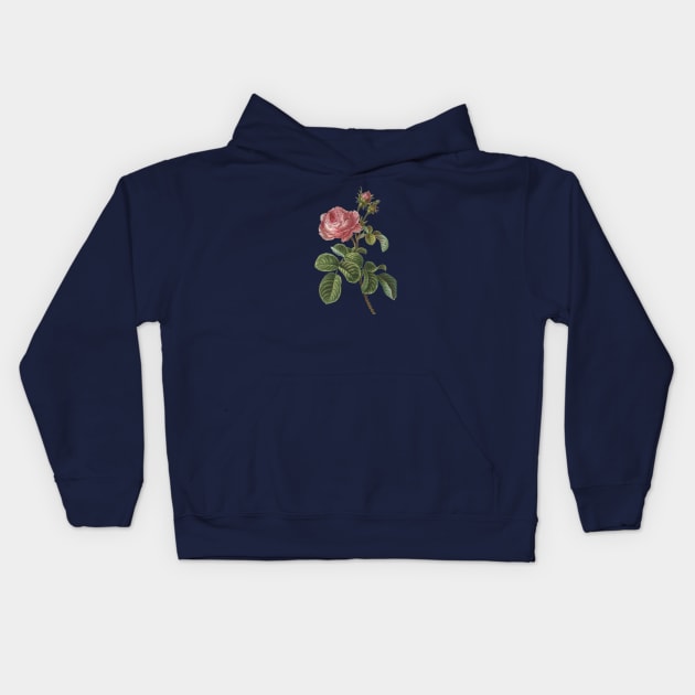 Rose Flower Vintage Botanical Illustration Kids Hoodie by Biophilia